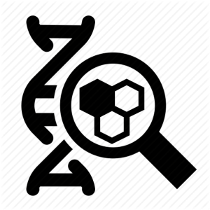 What Are Pheromones? Review Of Current Pheromone Research research-pheromones-in-humans