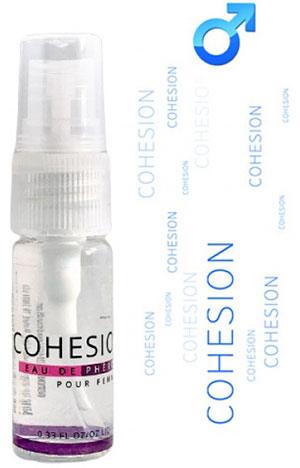 Cohesion-XS-review-pheromonexs