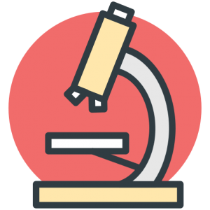 pherlure faked studies didehydroepiandrosterone