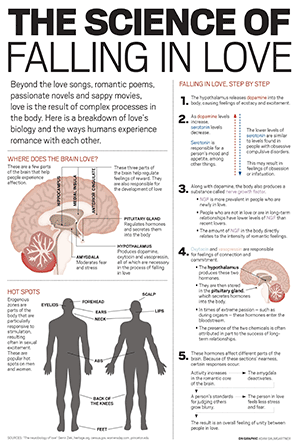 Love Pheromones: 6 Scientific Stages Of Falling In Love Explained (Romantically) love-pheromones-love-hormones