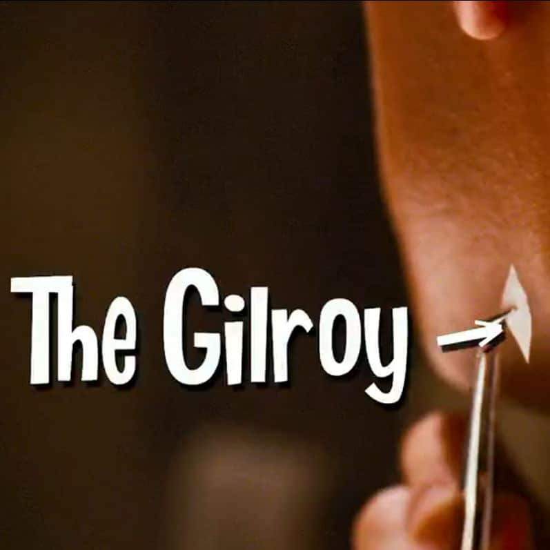 Oceans 13 Gilroy Pheromone patch review true pheromones